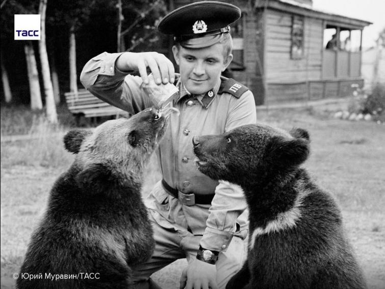 Пограничник кормит медвежат сгущенкой на одной из дальневосточных застав. СССР, 1975 год