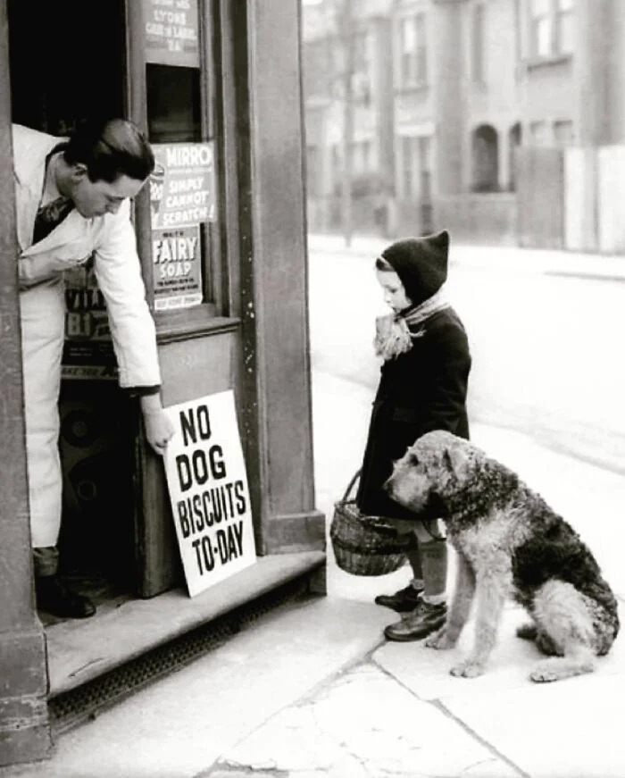 «Собачьих галет сегодня нет», Лондон, 1939 год