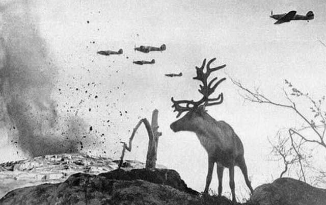 Олень на фоне бомбардировки немецкой авиацией