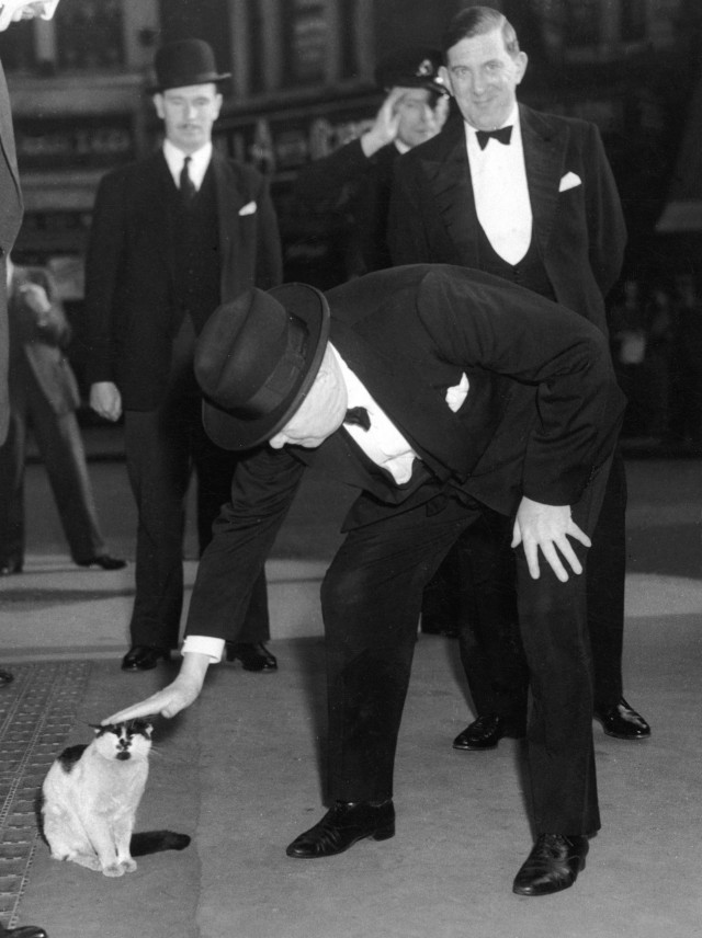 Уинстон Черчилль гладит кошку на Ливерпуль-стрит, Лондон, 24 мая 1952 года